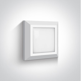 WHITE LED WALL LIGHT 3W WW IP65 230V